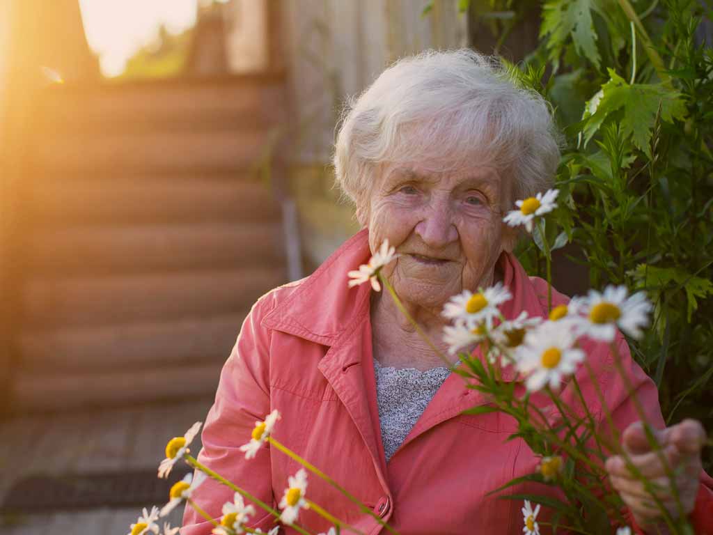 garden maintenance northern beaches